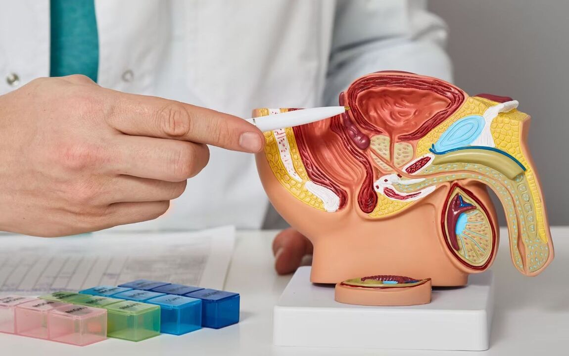 lokacija prostate